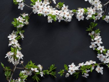 Siyah masanın üzerinde çiçek açan beyaz kiraz çerçevesi