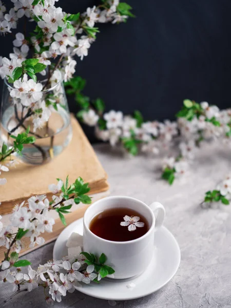 Una Taza Ramas Florecientes Cerezas Blancas Libros Primavera —  Fotos de Stock