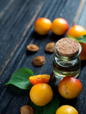 Bir şişe kayısı yağı. Koyu ahşap bir masada taze kayısılar.