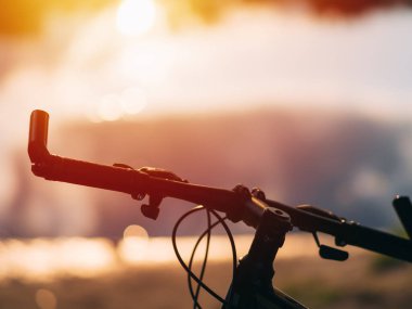 Bisiklet gidonu yakın plan. Yazın orman yolunda bir gezi. Yaşam biçimi