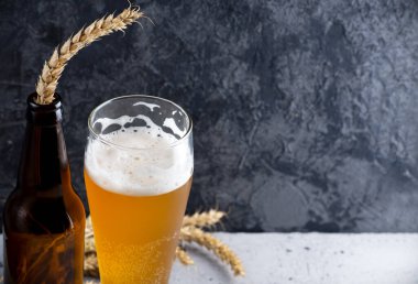 Bir bardak Alman buğday birası.