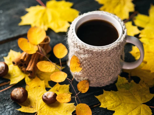 Cozy Autumn Winter Morning Home Mug Coffee Knitted Jacket Autumn — Stock Photo, Image