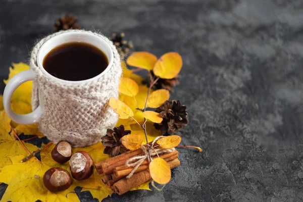 Cozy Autumn Winter Morning Home Mug Coffee Knitted Jacket Autumn — Stock Photo, Image