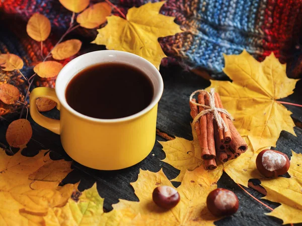 a yellow mug of coffee on the table with yellow autumn leaves and a knitted scarf . cozy home morning