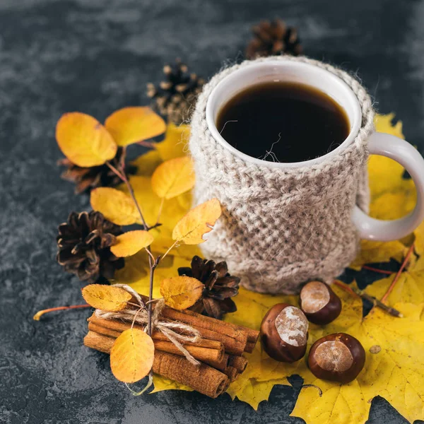 Cozy Autumn Winter Morning Home Mug Coffee Knitted Jacket Autumn — Stock Photo, Image