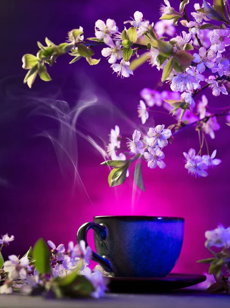 Чашка Горячего Кофе Чая Неоновом Освещённом Фоне Цветущие Ветки Белой — стоковое фото