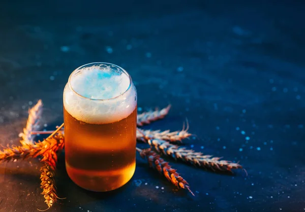 Elegante Vaso Cerveza Creativa Sobre Fondo Azul Oscuro Orejas Trigo — Foto de Stock