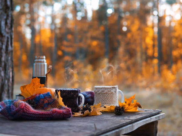 autumn mood, an atmospheric composition with two cups of coffee in knitted sweaters in an autumn park or forest. Outdoor picnic copy space