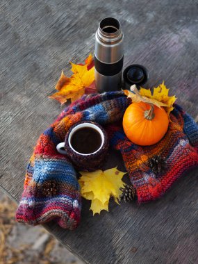 Autumn Park 'ta bir fincan sıcak kahve. Örülmüş ılık eşarp, balkabağı ve akçaağaç yaprakları.