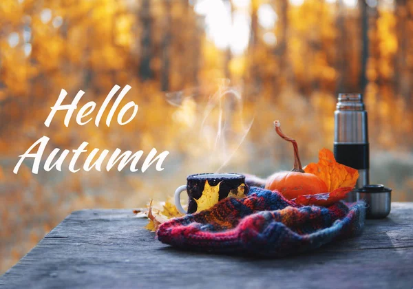 Hello Autumn Seasonal Composition Colorful Knitted Warm Scarf Cup Hot — Stock Photo, Image