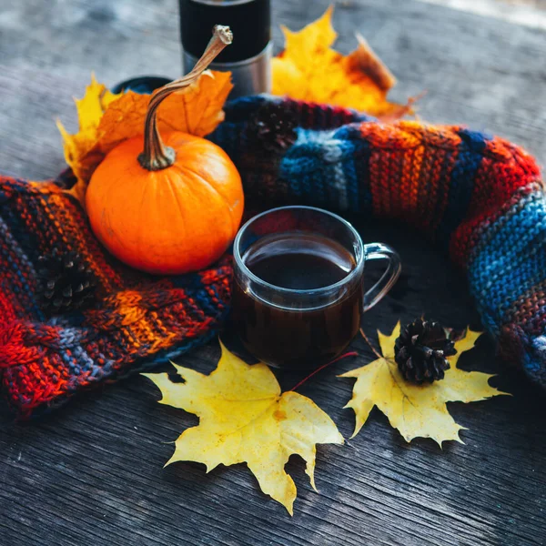 Autumn Park 'ta bir fincan sıcak kahve. Örülmüş ılık eşarp, balkabağı ve akçaağaç yaprakları.