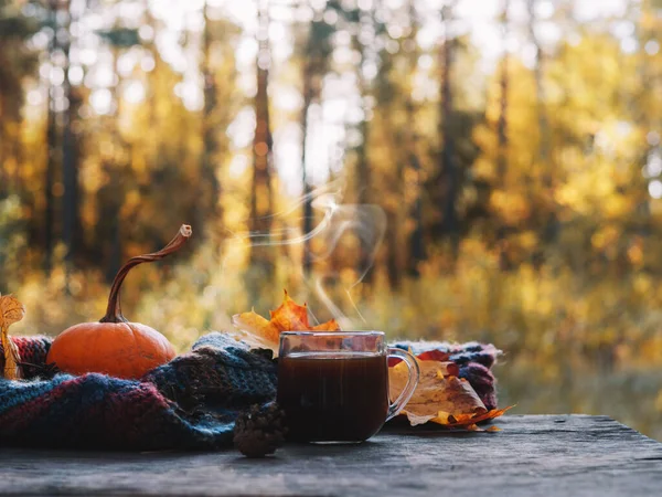 Осенний Красочный Сезонный Фон Чашкой Кофе Парящего Стекла Теплым Вязаным — стоковое фото