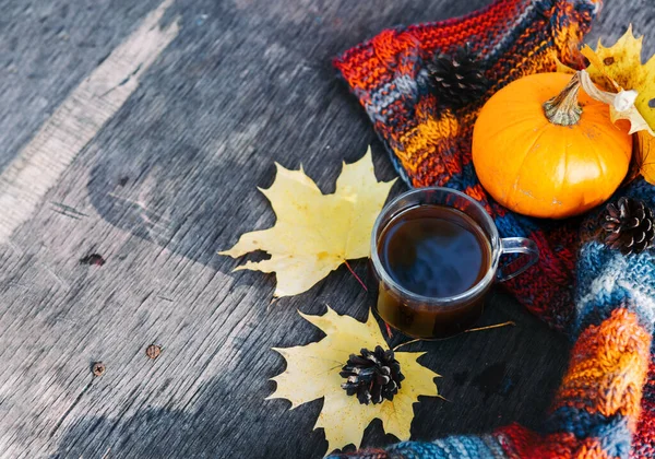 秋の公園の木のテーブルの上に熱いコーヒーのカップ カラフルな明るい組成 自然の中でピクニック — ストック写真