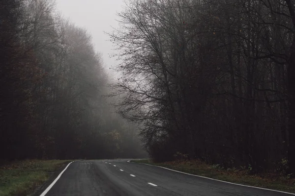 Осінь Туманний Ранок Лісова Дорога — стокове фото