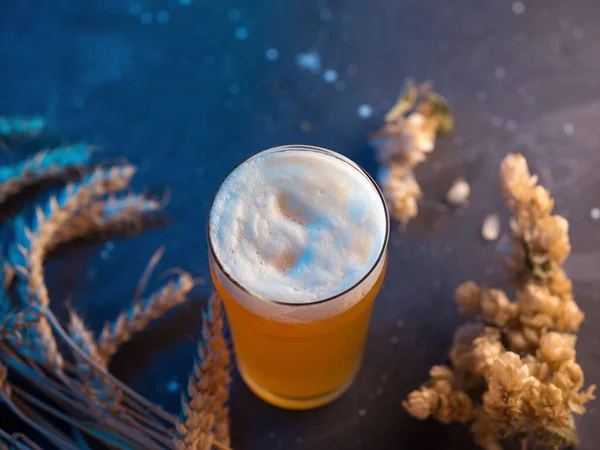 New England Ipa Ein Glas Craft Beer Draufsicht Trockenes Hüpfen — Stockfoto