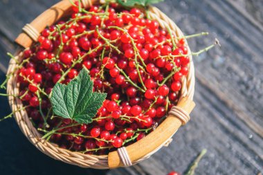 Kırmızı frenk üzümü örgü sepet üst görünümde.