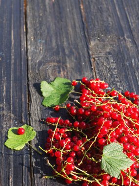Siyah ahşap masada kırmızı frenk üzümü.