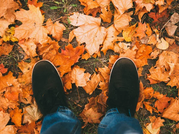 Piedi Foglie Autunno Vista Dall Alto — Foto Stock