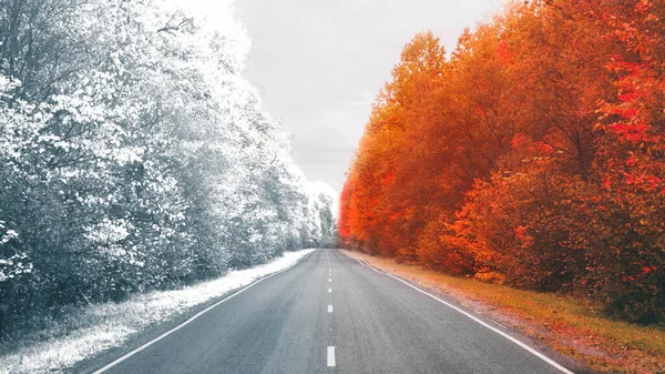 Осінню Дорогу Красивий Яскравий Осінній Дорожній Пейзаж Червоне Листя Деревах — стокове фото