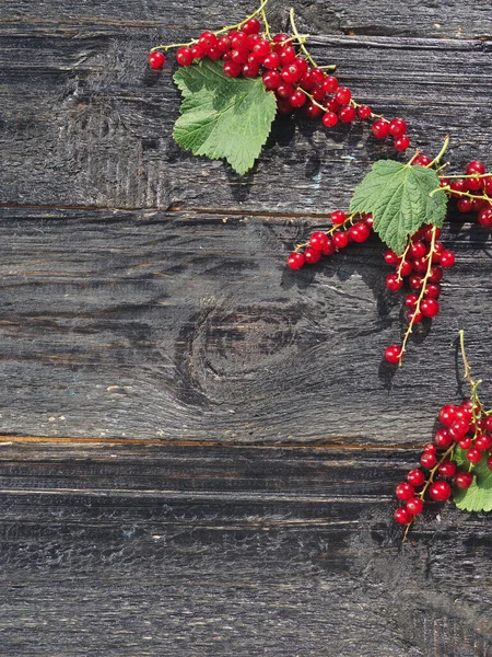 Red Currant Black Wooden Table — Stock Photo, Image