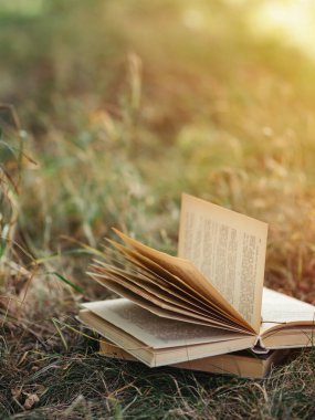 Eski kitap parktaki çimlerin üzerinde yatıyor.