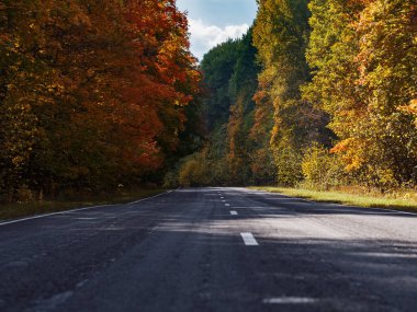 Renkli sonbahar yolu. Renkli ağaçlar