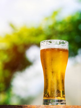 Yaz arkaplanında bir bardak ferahlatıcı soğuk bira.