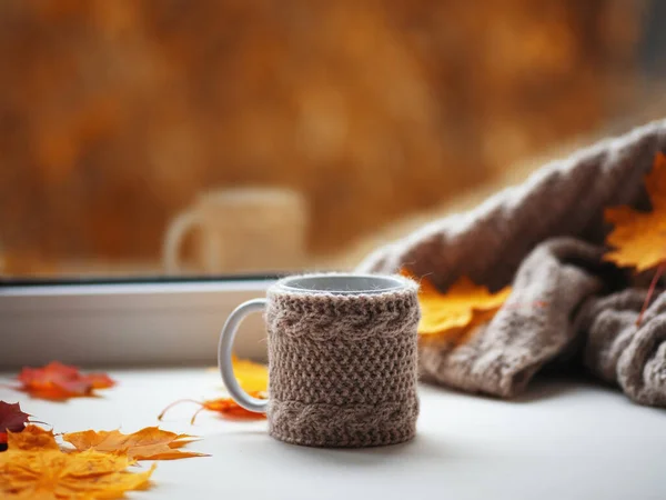 暖かいセーターと秋の葉を編んだホットコーヒーのマグカップが家の窓にあります 巨大概念 — ストック写真