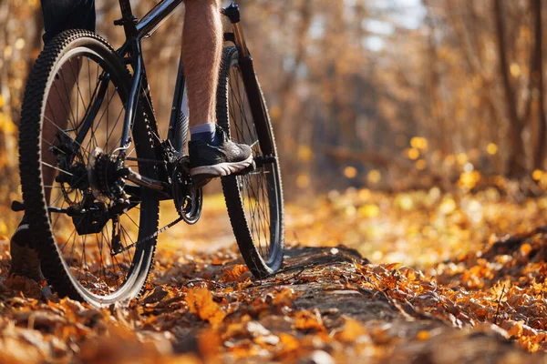 Muž Cyklista Kole Podzimním Lese Teplého Počasí Aktivní Životní Styl — Stock fotografie