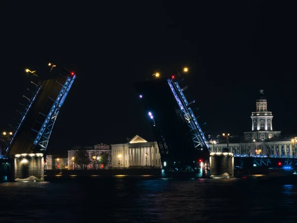 Palastbrücke Sankt Petersburg Bei Nacht — Stockfoto