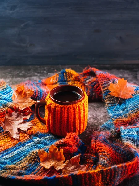 Чашка Горячего Кофе Оранжевой Куртке Вязаный Осенний Красочный Шарф Осенние — стоковое фото