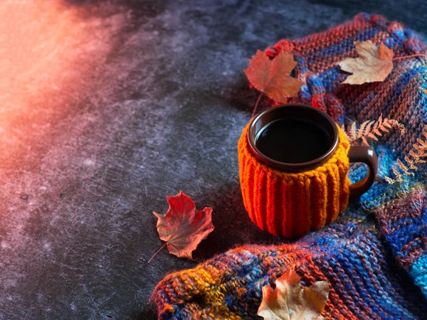 Hot Cup Coffee Orange Jacket Knitted Autumn Colorful Scarf Autumn — Stock Photo, Image