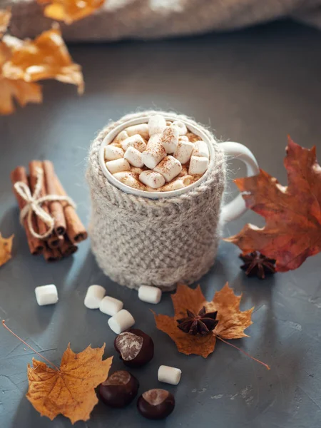 Mug Autumn Hot Chocolate Marshmallows Table Maple Leaves Knitted Warm — Stock Photo, Image