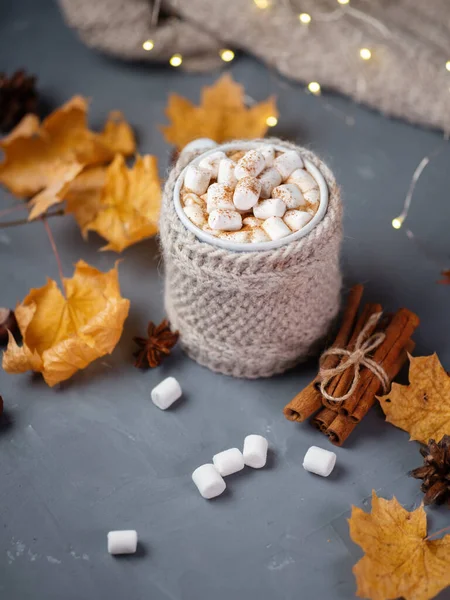 Mug Autumn Hot Chocolate Marshmallows Table Maple Leaves Knitted Warm — Stock Photo, Image