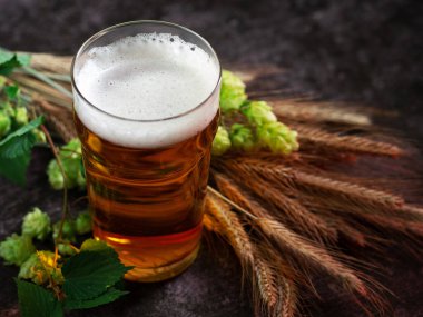 Masada bir bardak bira, yeşil zıpzıp, malt