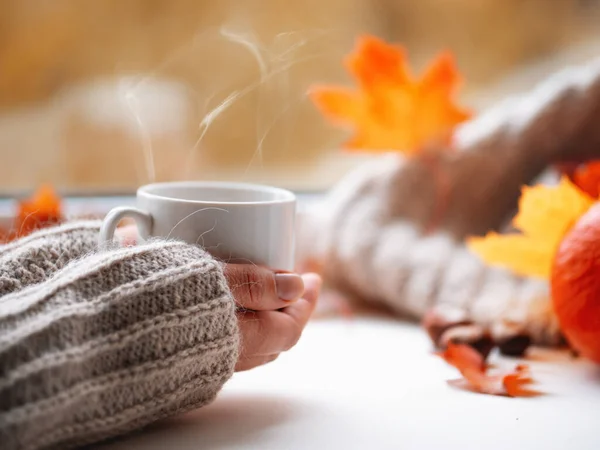 Mani Una Donna Maglione Caldo Reggono Una Tazza Bianca Caffè — Foto Stock