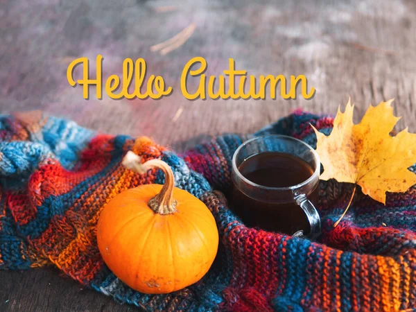 Hallo Herbst Eine Komposition Mit Einer Heißen Tasse Kaffee Einem — Stockfoto