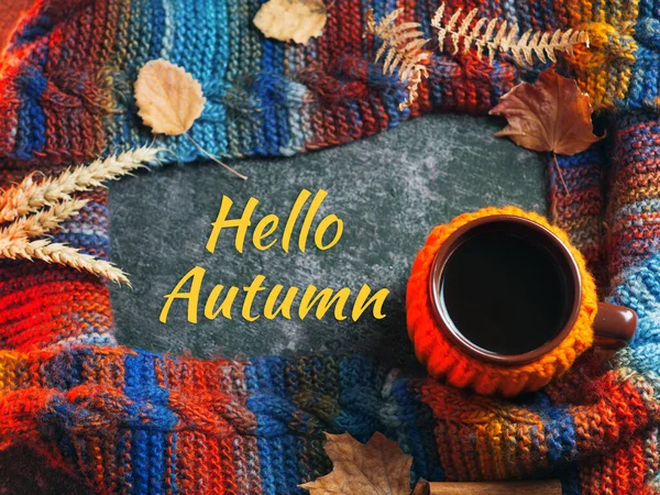 Hallo Herbst Eine Tasse Kaffee Orangefarbener Jacke Ein Farbenfroher Warmer — Stockfoto