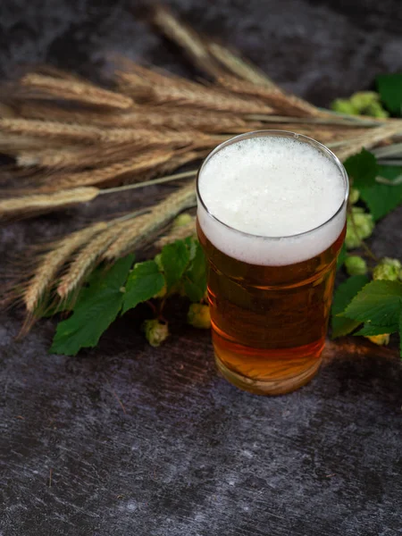 Copo Cerveja Mesa Lúpulo Verde Malte — Fotografia de Stock