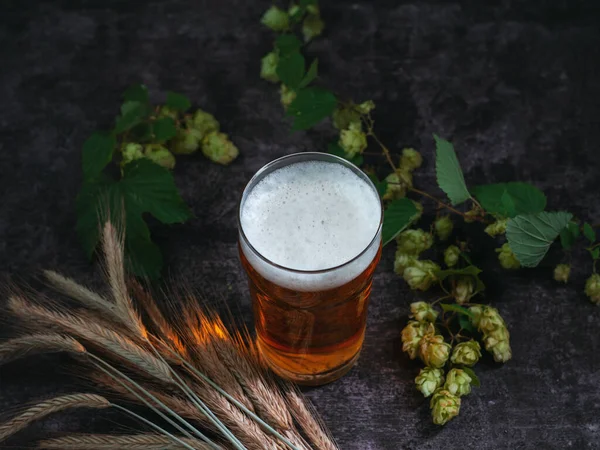 Glas Bier Auf Dem Tisch Grüner Hopfen Malz — Stockfoto