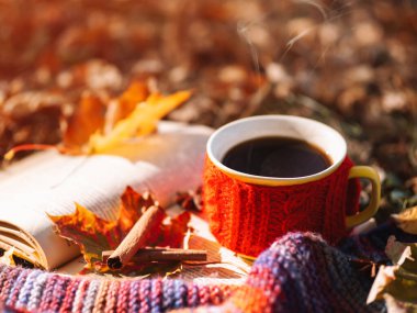 Sonbahar havası, sonbahar yeşilliklerinde kırmızı bir kazak içinde bir fincan kahve bir kitap ve sıcak örülmüş bir eşarp.
