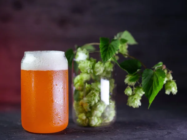 Indian Pale Ale Ein Glas Craft Beer Und Grüner Hopfen — Stockfoto