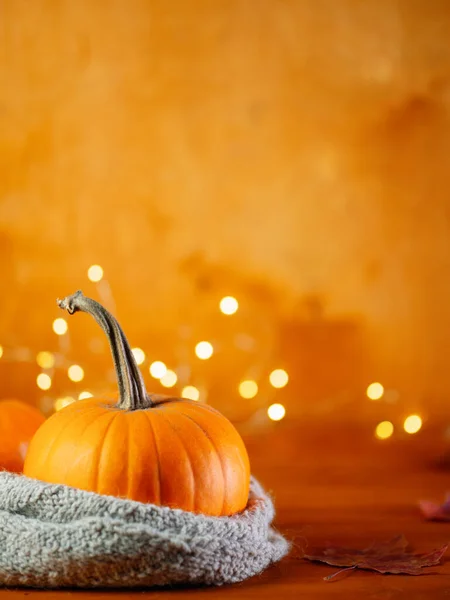 Jesienna Kompozycja Święto Dziękczynienia Lub Halloween Pomarańczowa Dynia Ciepłym Dzianinowym — Zdjęcie stockowe