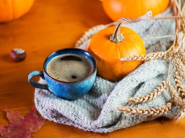 Ahşap bir masada mavi seramik kahve, olgun bir balkabağı ve buğday kulağı. Renkli mevsimsel bileşim