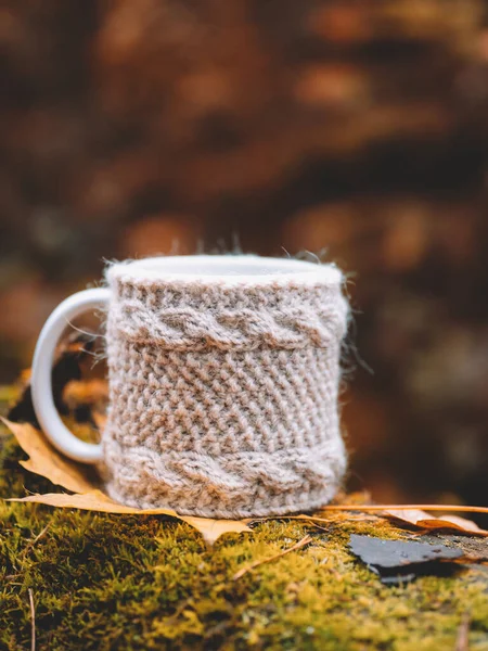 Hot autumn drink concept. A mug in a knitted jacket stands on moss in the forest, natural background, copyspace. A cup of hot warming tea or coffee