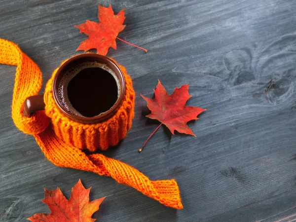 Осенний Кофе Эспрессо Чашка Вязаной Оранжевой Куртке Красные Кленовые Листья — стоковое фото