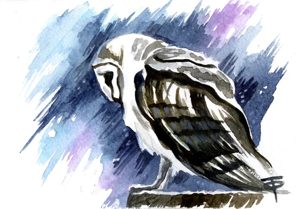 Acuarela Pájaro Invierno Búho Naturaleza Vida silvestre Ilustración dibujada a mano —  Fotos de Stock