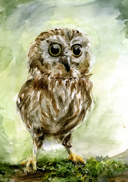 Hibou aquarelle. Illustration aquarelle imprimé de mode hibou des neiges, affiche pour textiles, design de mode — Photo