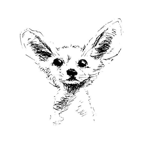 狐狸矢量图。大耳朵。素描 — 图库矢量图片