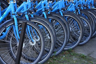 Swinoujscie, Polonya, 08.10.2025 Kiralama istasyonunda park halindeki mavi şehir bisikletlerinin yakın çekimi.